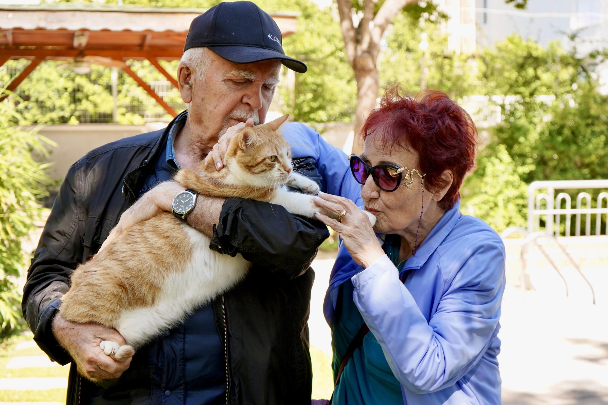 Papyonlu kedi 'Foça', emekli çiftin hayatını değiştirdi