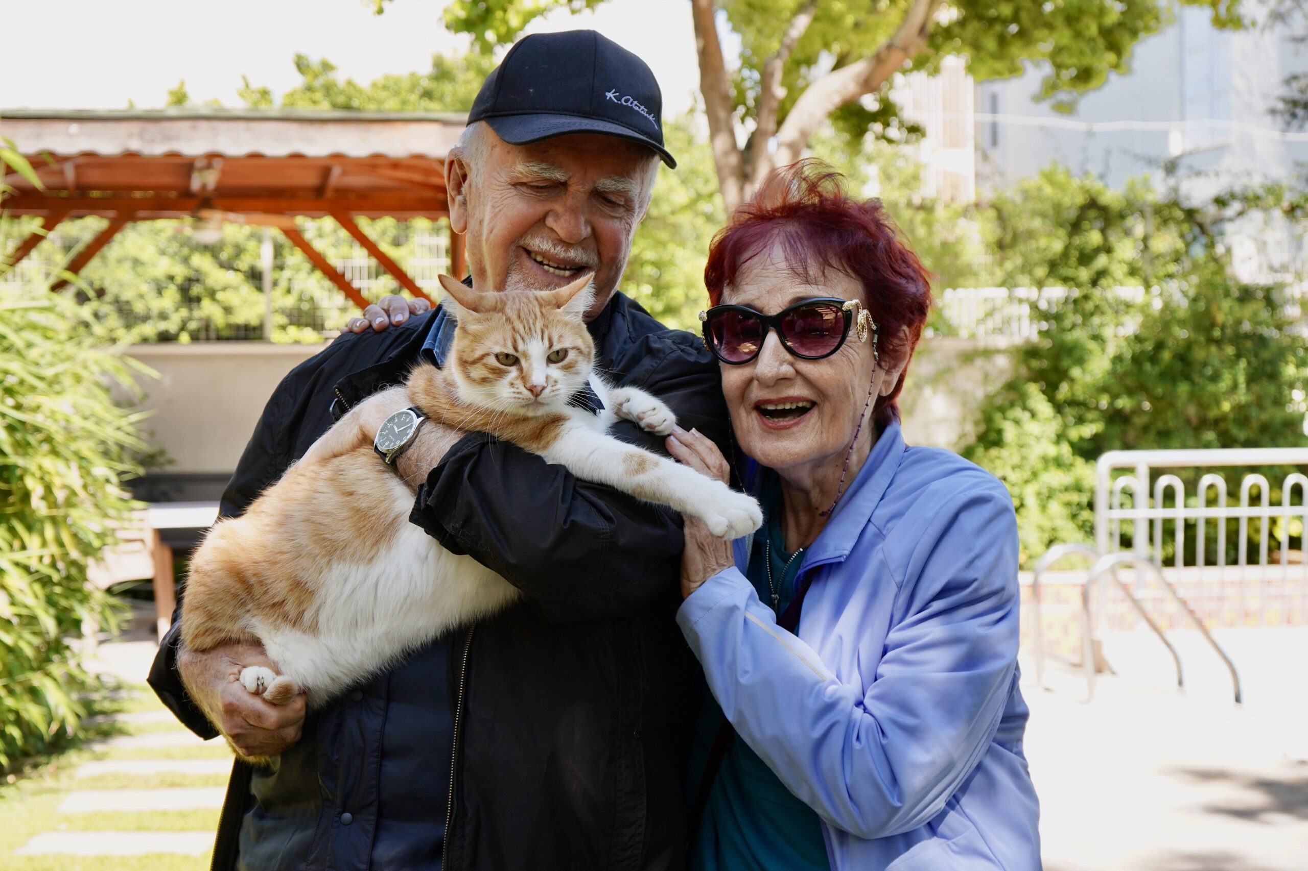 Papyonlu kedi 'Foça', emekli çiftin hayatını değiştirdi