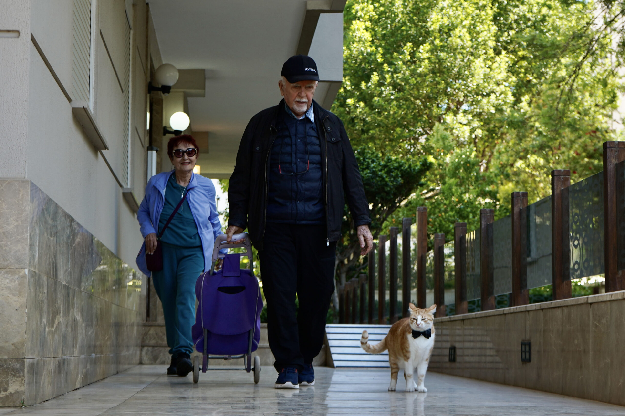 Papyonlu kedi 'Foça', emekli çiftin hayatını değiştirdi