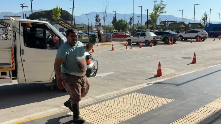 Aydın’da kurban kesimi sırasında yaralananlar hastanenin yolunu tuttu