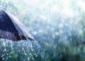 Rain On Umbrella - Weather Concept
