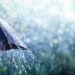 Rain On Umbrella - Weather Concept