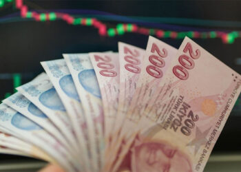 200 TL’nin değeri 131 dolardan 4,5 dolara düştü