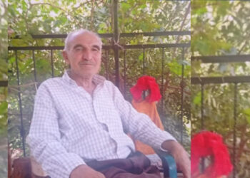 Diyarbakır'da tartıştığı babasını öldürdü