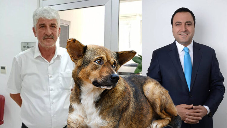 İki belediye başkanı hakkında sahipsiz köpek saldırıları nedeniyle soruşturma izni
