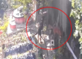 Kümese giren sokak köpekleri 30 tavuğu öldürdü