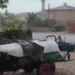 Niğde'de dolu yağışı etkili oldu