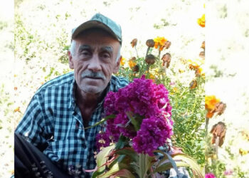 'Tarlaya gidiyorum' diye evden çıktı, evinin yakınındaki bahçede baygın bulundu