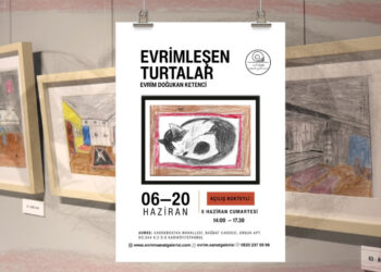 Genç yetenekten ikinci kişisel sergi: "Evrimleşen Turtalar"
