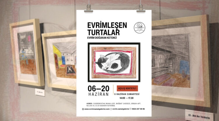 Genç yetenekten ikinci kişisel sergi: "Evrimleşen Turtalar"