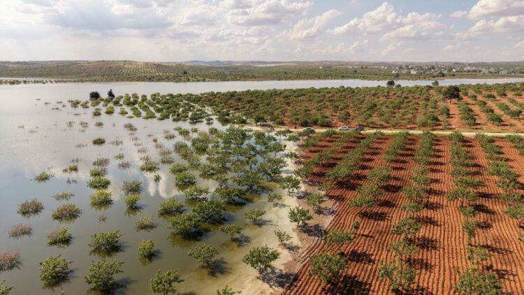 Su altında kalan fıstık bahçeleri dronla görüntülendi