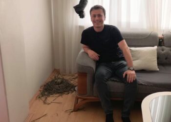 Evinin oturma odasına yuva yapan güvercinlere sahip çıktı