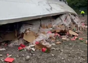 Tavuk eti yüklü TIR şarampole devrildi: 2 yaralı
