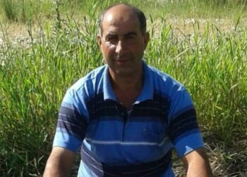 Van'da otomobilin çarptığı baba hayatını kaybetti, oğlu yaralandı