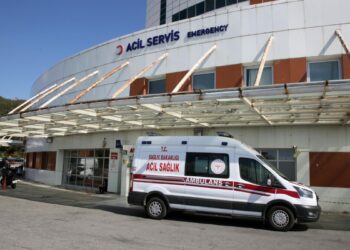 Bahçede yakılan otların üzerine düşen anne ile oğlu yaralandı