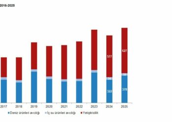 TÜİK: Su ürünleri üretimi 2025 yılında yüzde 11,1 arttı