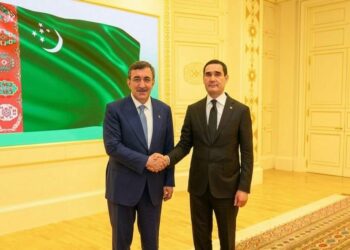 Cumhurbaşkanı Yardımcısı Yılmaz, Türkmenistan Devlet Başkanı Berdimuhamedov ile görüştü
