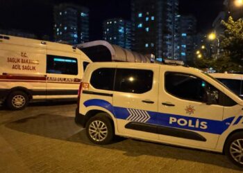Kavgayı ayırmaya çalışan annesinin ölümüne neden oldu
