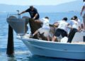 Bodrum'da denizden 2 bin metrekare hayalet ağ çıkarıldı