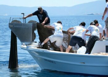Bodrum'da denizden 2 bin metrekare hayalet ağ çıkarıldı