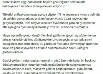 Cevdet Yılmaz: Dezenflasyon sürecini sürdürmeyi hedefliyoruz