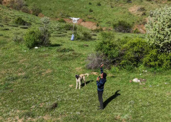 Arazideki çobanlara dronla 'şeker' gönderdiler
