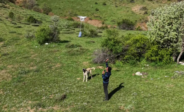 Arazideki çobanlara dronla 'şeker' gönderdiler