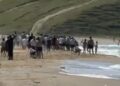 Sarıyer’de kız arkadaşını kurtarmak için denize giren Fırat, boğuldu