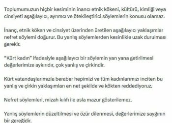 AK Parti’li Çelik: Kadınlara dönük her türlü aşağılayıcı söylemi kınıyoruz
