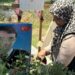 Reyhanlı saldırısı davasında karar çıktı, aileler gözyaşlarına boğuldu