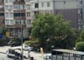 Kamyonetin kasasından yola saçılan meyve ve sebzeler, diğer sürücülerin yardımıyla toplandı