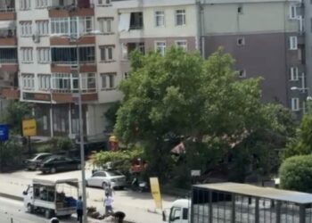 Kamyonetin kasasından yola saçılan meyve ve sebzeler, diğer sürücülerin yardımıyla toplandı