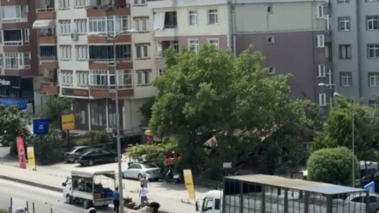 Kamyonetin kasasından yola saçılan meyve ve sebzeler, diğer sürücülerin yardımıyla toplandı