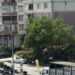 Kamyonetin kasasından yola saçılan meyve ve sebzeler, diğer sürücülerin yardımıyla toplandı