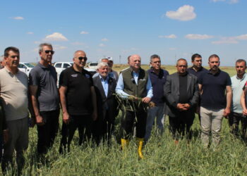TZOB Genel Başkanı Bayraktar: Buğday rekoltesinin 23 milyon tona yaklaşmasını bekliyoruz
