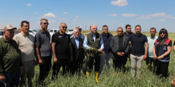 TZOB Genel Başkanı Bayraktar: Buğday rekoltesinin 23 milyon tona yaklaşmasını bekliyoruz