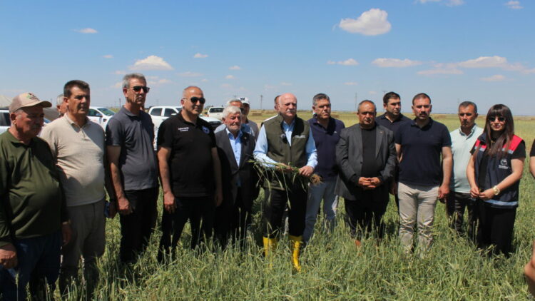 TZOB Genel Başkanı Bayraktar: Buğday rekoltesinin 23 milyon tona yaklaşmasını bekliyoruz