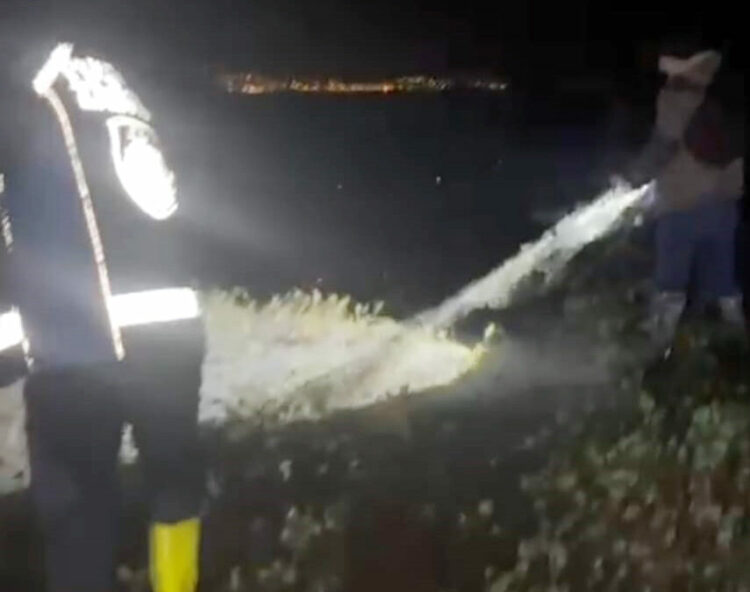 Van Gölü'nde kaçak avlanan 400 kilo inci kefali suya bırakıldı