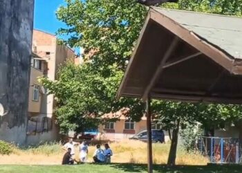Sultangazi'de uçmasına yardım ettiği yavru karganın annesi saldırdı; başından yaralandı