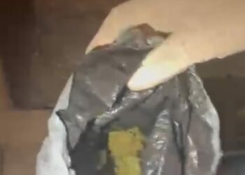 Kağıthane’de kuş kümesine uyuşturucu operasyonu: Teraziyi fazla yem vermemek için kullanıyorum