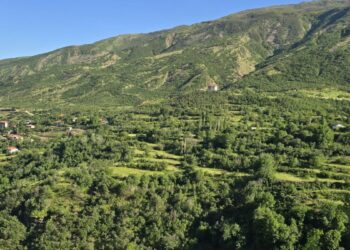 Şırnak'ta ormanlara girişler 30 Eylül'e kadar yasaklandı