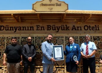 Adana'da hayata geçirilen 'arı oteli' dünyanın en büyüğü; Guinness tescil etti