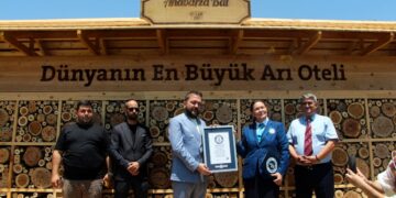 Adana'da hayata geçirilen 'arı oteli' dünyanın en büyüğü; Guinness tescil etti