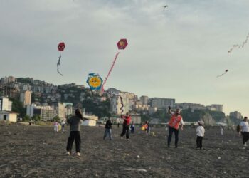 Vahşi çöp depolama alanına dikkat çekmek için uçurtmalarını havalandırdılar