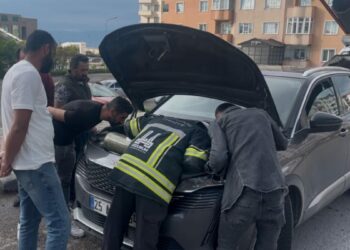 Otomobilin motor bölümüne sıkışan 2 yavru kedi kurtarıldı
