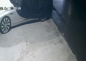 Maslak’ta lüks otomobilin 400 bin liralık altın amblemini çaldı; 'Şüpheliyle aynı kıyafeti giymişiz' dedi