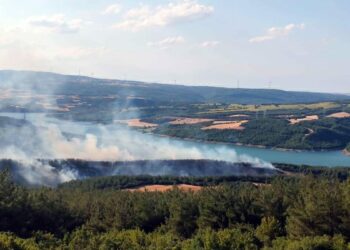 Kırklareli'de ormanlara giriş yasağı