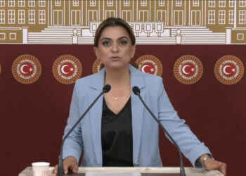 DEM Parti'li Koçyiğit: Barışın hukuksal bir güvenceye ihtiyacı var