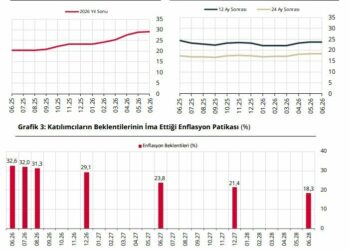 Piyasa katılımcılarının yıl sonu enflasyon beklentisi yüzde 29,14