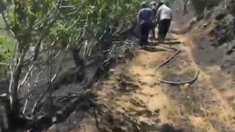 Yemek ısıtmak için yakılan ateş incir bahçesini yaktı